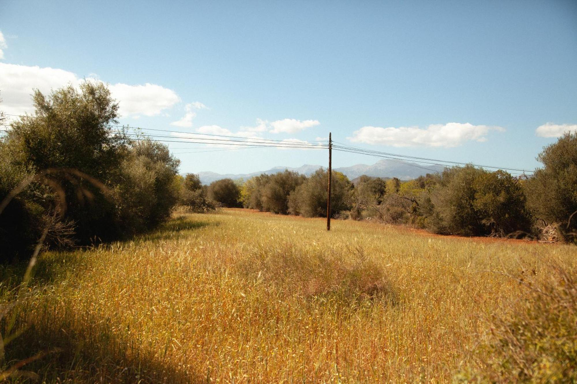 Casa Mona Turismo De Interior ξενώνας Llubí Εξωτερικό φωτογραφία