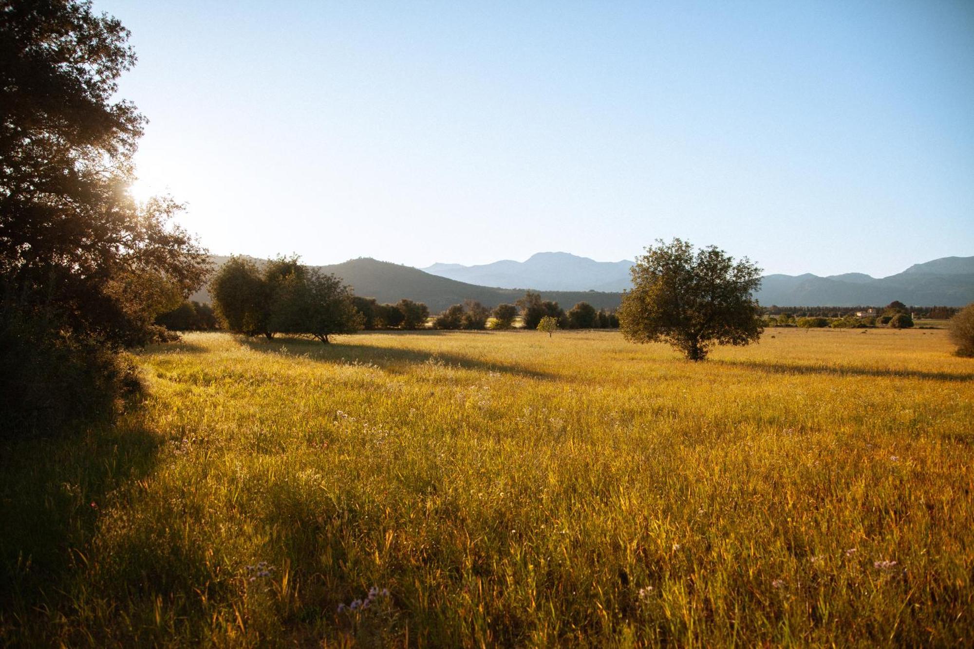 Casa Mona Turismo De Interior ξενώνας Llubí Εξωτερικό φωτογραφία